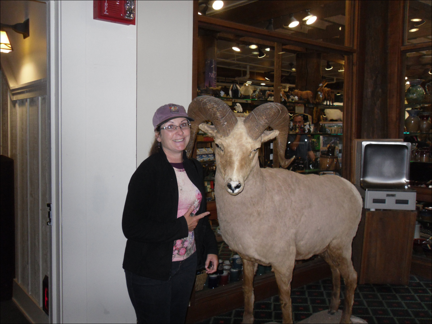 Glacier National Park-Kath w/bighorn sheep inside Many Glacier Lodge